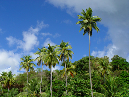 Martinique Sky