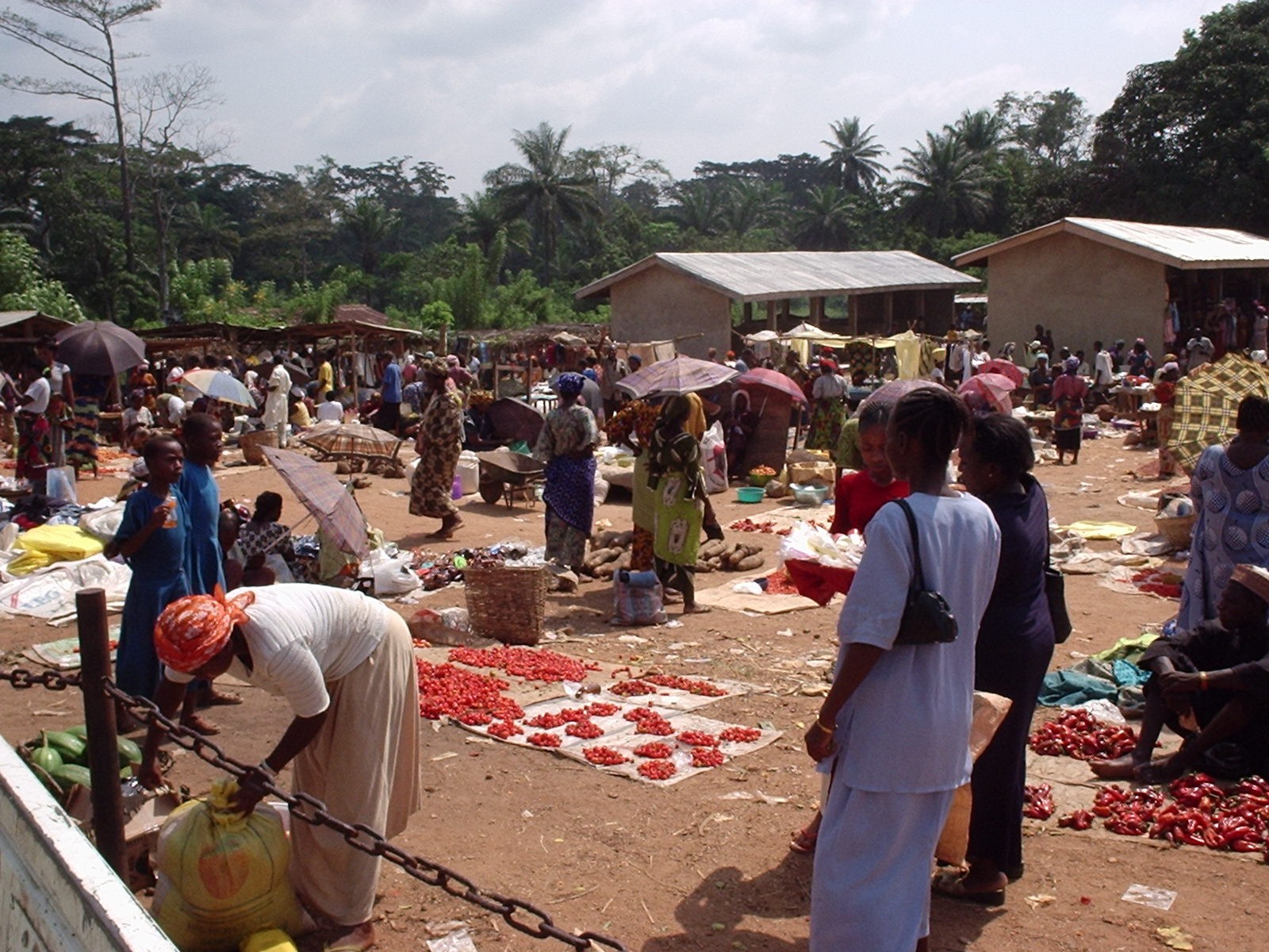 Village Market Nigeria