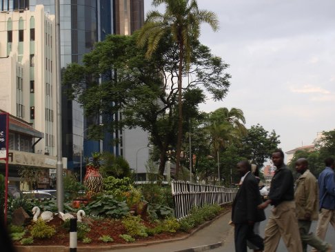 Greening of Nairobi streets