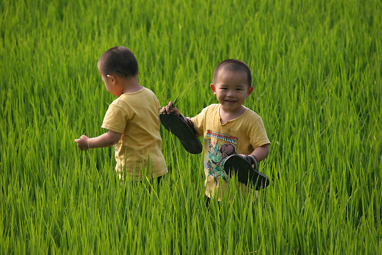 Фотографија од две тајвански деца на пољана